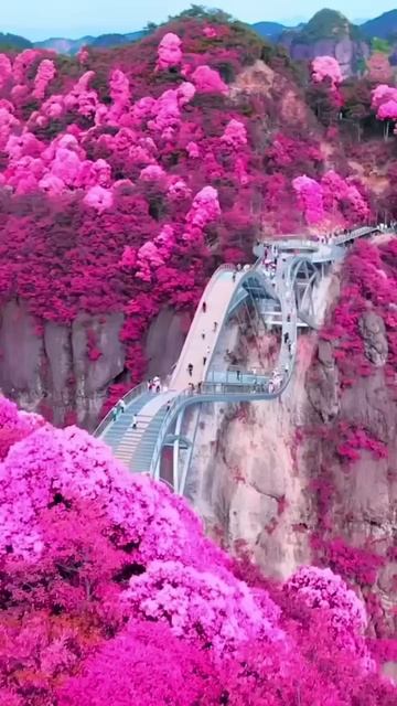 The Most Beautiful Places in China 🇨🇳✨🤩 #china #travel #explore #nature смотреть онлайн