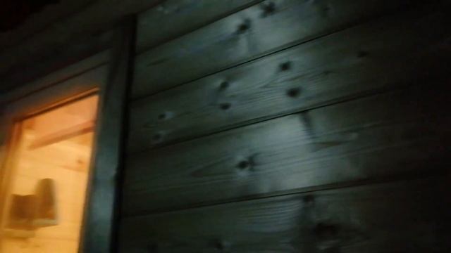Птицы ночью в урочище, июнь смотреть онлайн