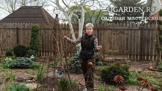 Опора для плетистой розы. смотреть онлайн