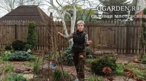 Опора для плетистой розы.