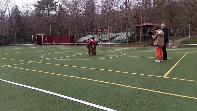 210328 моно Новороссийск Баларис Сенсация, класс ветеранов смотреть онлайн
