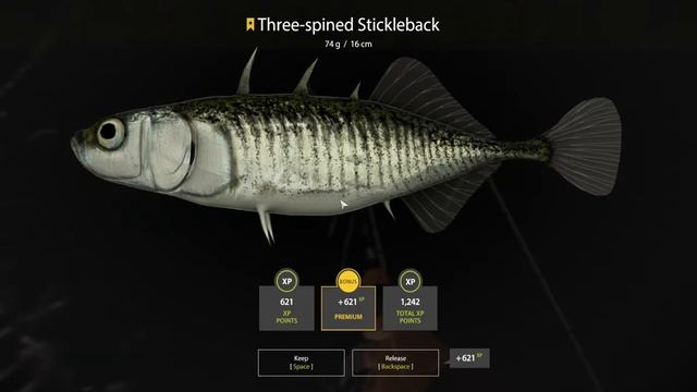 Russian Fishing 4 Lower Tunguska River - Three Spined Stickleback Trophy ⭐65 смотреть онлайн