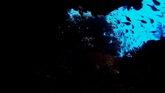 Une plongée à Hurgada смотреть онлайн