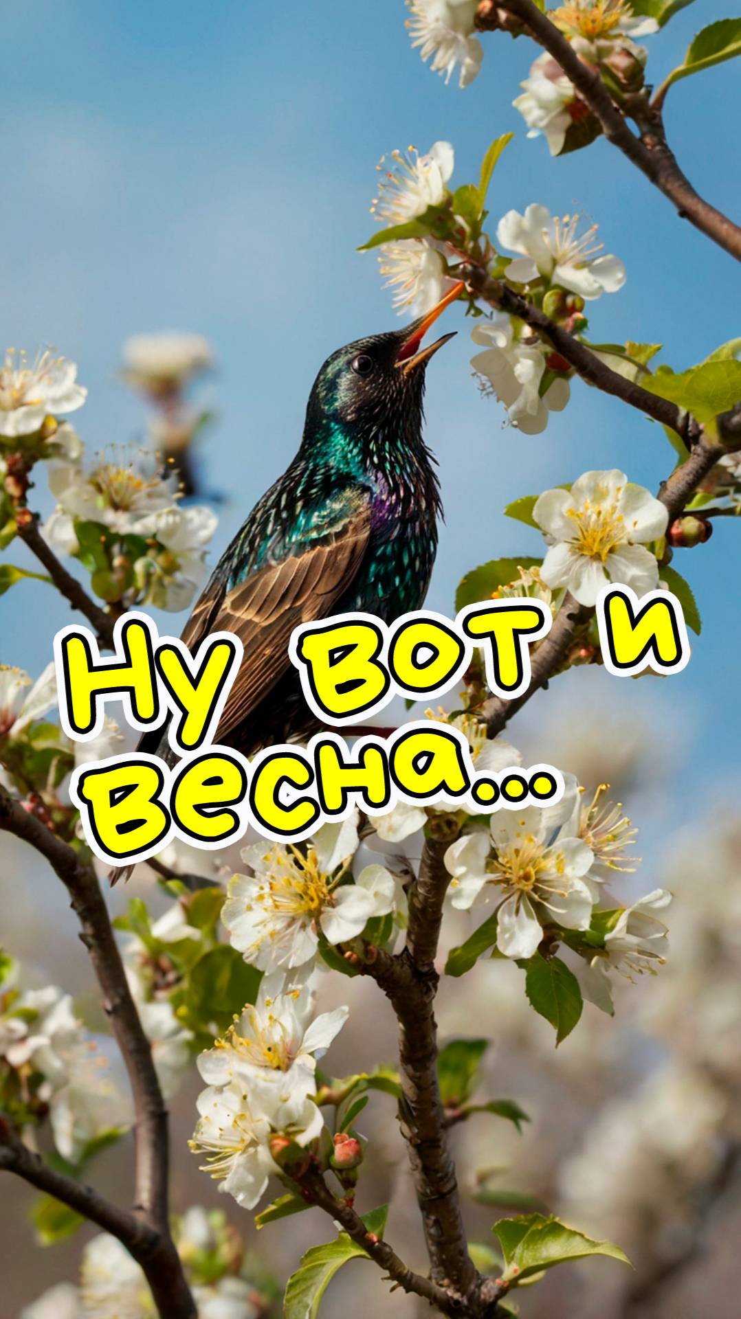 Ну вот и весна смотреть онлайн