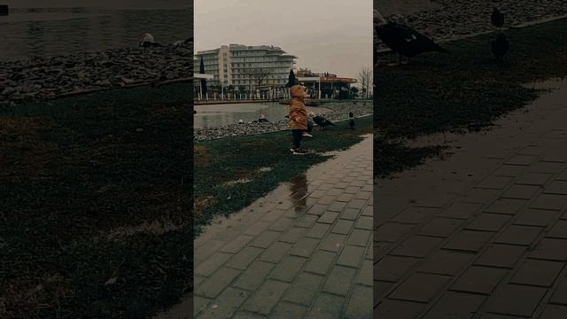 Первый дождь. Адлер, Краснодарский край.