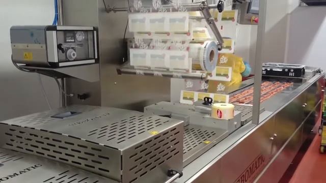 Термоформер Webomatic ML-C 3600 смотреть онлайн