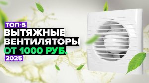 ТОП-5: Лучшие вытяжные вентиляторы 🚀 Рейтинг 2025 года