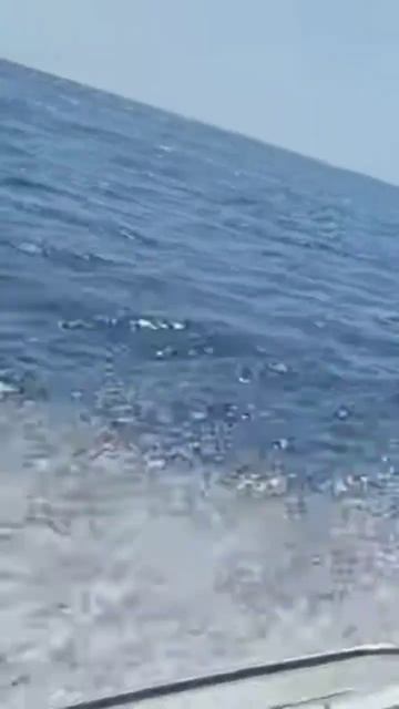 Веселая прогулка на катере смотреть онлайн