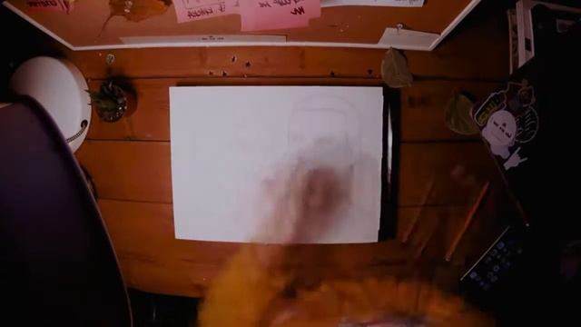 Рисунок и видео Котанов by Lina Linch смотреть онлайн
