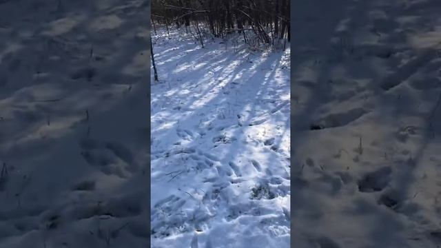 50 минут гона в -11 смотреть онлайн