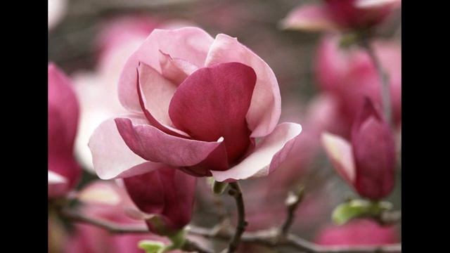 Спикерская Лилии. АП. (Анонимные переедающие). 15.08.2018 смотреть онлайн