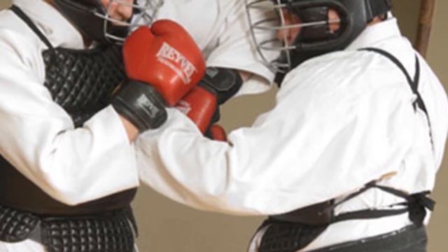 Боевые искусства мира. Ниппон-кэмпо