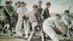 Эх, дубинушка, ухнем