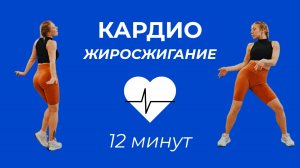 КАРДИО ТРЕНИРОВКА • АЭРОБИКА • ЖИРОСЖИГАЮЩАЯ ТРЕНИРОВКА • РАЗМИНКА ПЕРЕД ТРЕНИРОВКОЙ