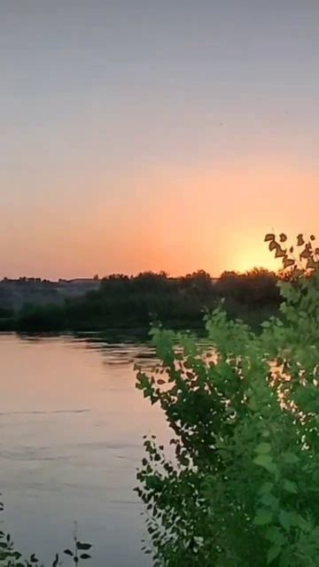 سهل نينوى نهر دجلة 🥰🤗 смотреть онлайн