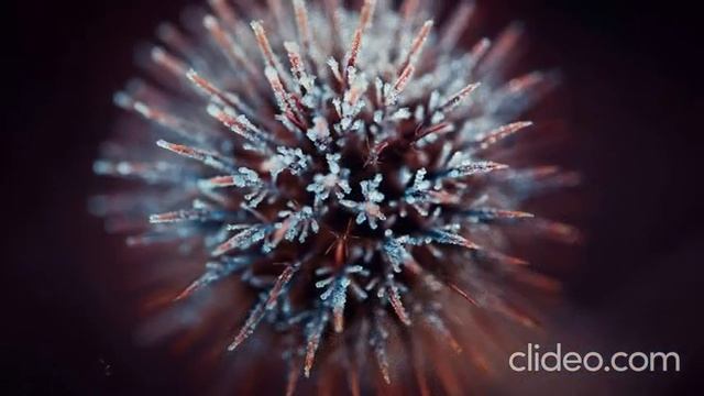 Спокойная музыка для сна, отдыха, расслобляющего время припровождения смотреть онлайн