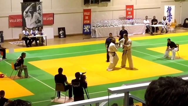 Kyokushin French Open 2015. Lyon. Navarro
