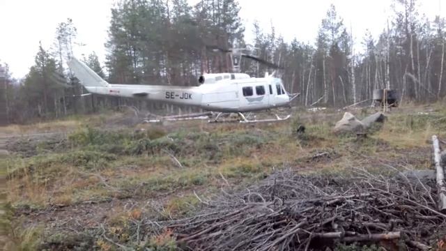 пеплом по лесу ))) смотреть онлайн