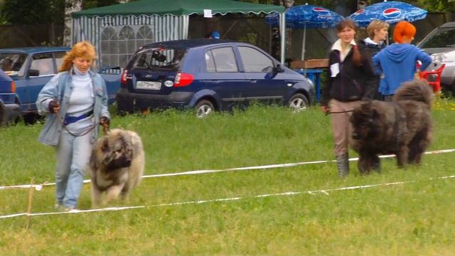FILE1770 смотреть онлайн