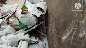 Ништяки прут валом. Обогащаюсь на мусорках Москвы