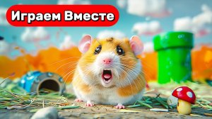 Лабиринт для Хомяка ! Умный Хомяк выбирается из НОВОГО ЛАБИРИНТ С ЛОВУШКАМИ из ИГРЫ СУПЕР МАРИО !
