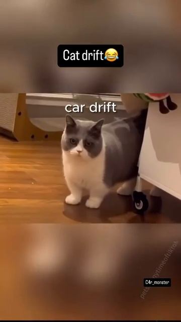 Формула№1 от Котэ смотреть онлайн