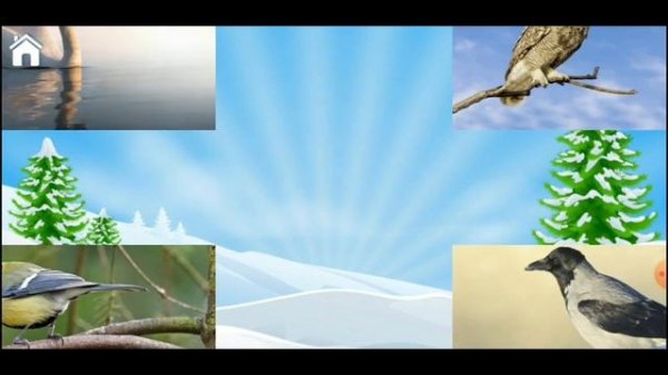 Learn To Read & Save the Animals with Fotos - Level 3 - For Kids