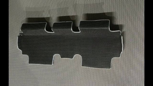 EVA/ЭВА коврики в Toyota wish