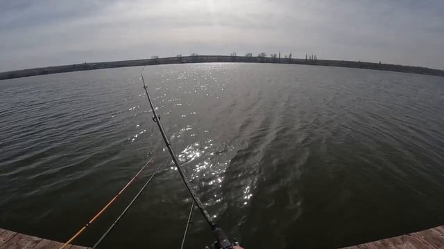 уташ(платник)