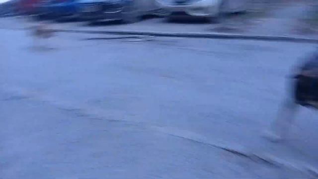 Большая картонка в доме Смирновского переулка 137 стоит мешает и собаки в Таганроге 3 Марта 2024 смотреть онлайн