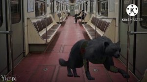 Страшилка WildCraft: мёртвые глаза.