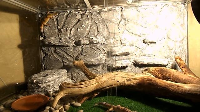 Новый террариум смотреть онлайн