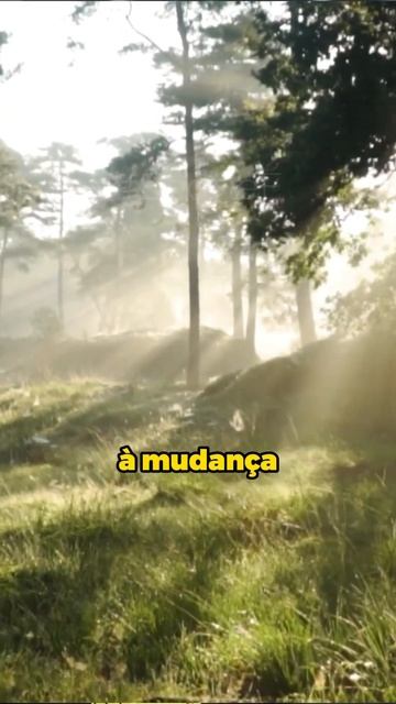 Uma floresta MAIOR que a AMAZÔNICA?! #shorts #cortespodcast смотреть онлайн