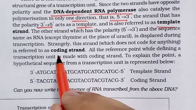 NCERT Line by Line ● Molecular Basis of Inheritance ● NEET ■ Dr. Hariom Gangwar смотреть онлайн