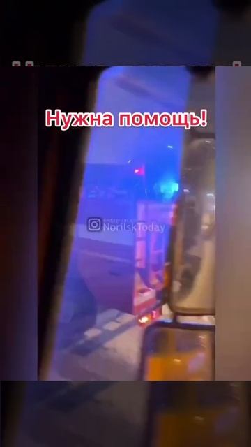 В Норильске сгорел приют с животными смотреть онлайн