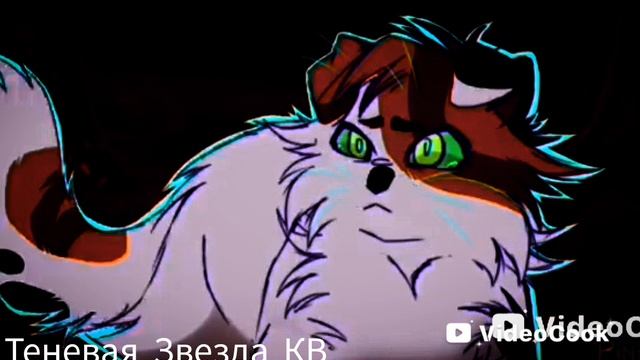 |коты-воители|•клип•|[дикая﹤﹥львица]Белка﹤﹥Кленовница |котывоители|БелкаКленовница|дикаяльвица| смотреть онлайн