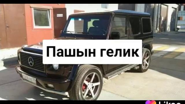 Гелики и. Беха Жени Олега крузак