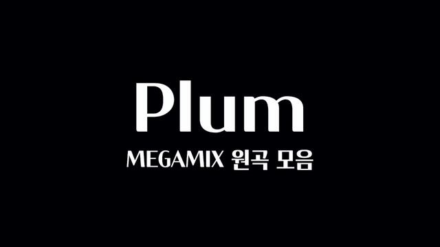 PLUM MEGAMIX 32곡을 플레이리스트 하나로! / Plum 음악 모음 (중간광고 X)