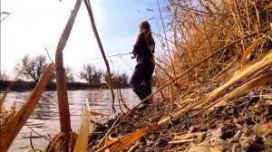 ЗАШЛА В КАМЫШ И ОН НАЧАЛ КЛЕВАТЬ АКТИВНО! РЫБАЛКА НА СПИННИНГ