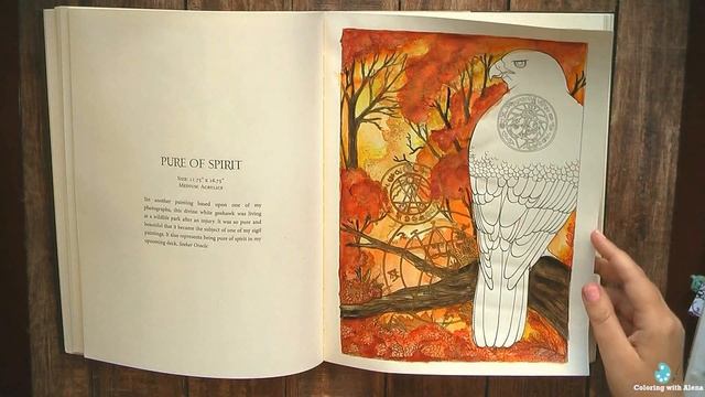 'Spirit Animal' by Ravynne Phelan. Coloring book flip through смотреть онлайн