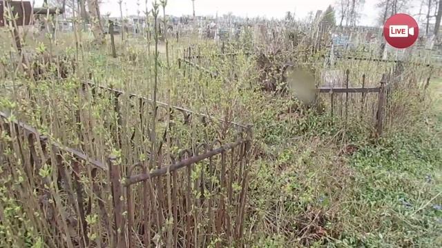 Посмотрите, сколько слонимчан откликнулось привести в порядок Ружанские кладбища смотреть онлайн