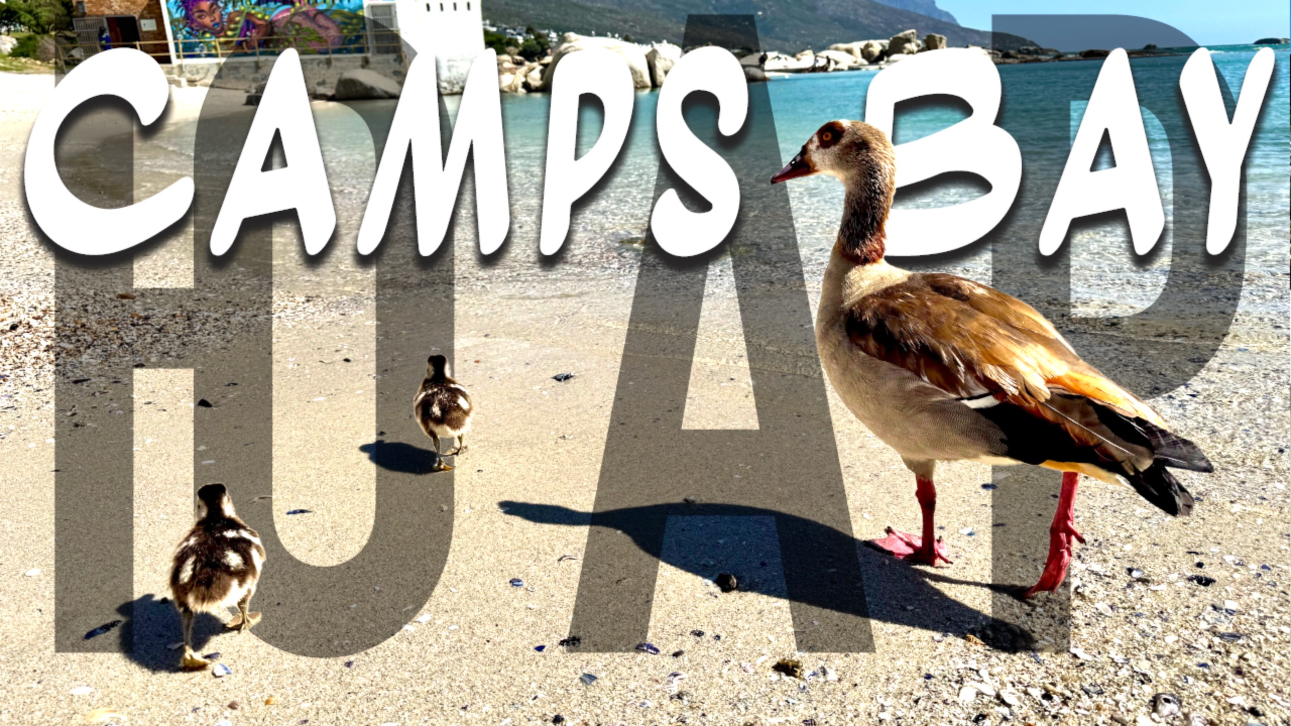 Camps Bay ⛱️ ЮАР смотреть онлайн