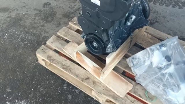 Отправка 2-х грузов ТК "Деловые Линии" от 19.02.2025 смотреть онлайн