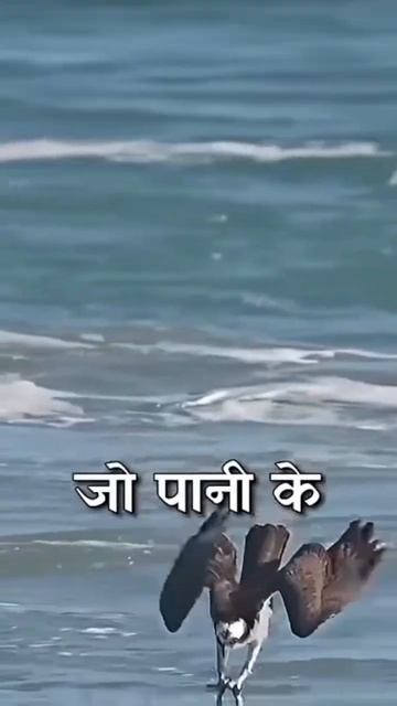 July 18, 2024 смотреть онлайн