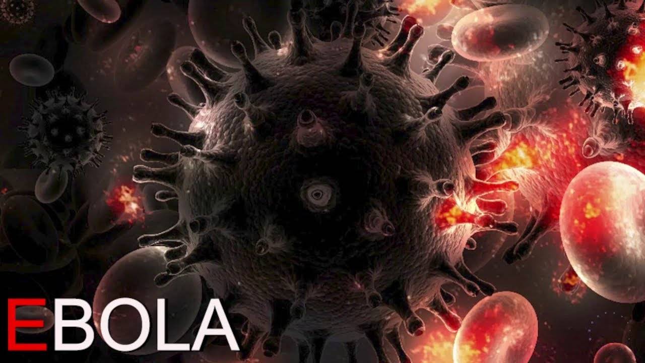 Прохождение Ebola