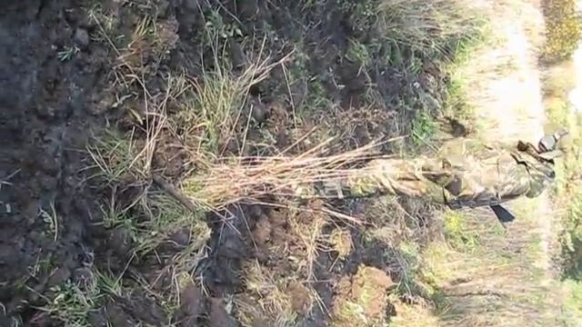 Кобаньи копки смотреть онлайн