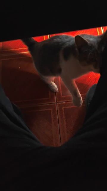 Смотрящий за столовой в горном селе смотреть онлайн