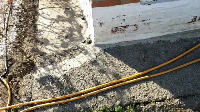 Ирга сорт Тиссен в марте. Начало огородных хлопот. смотреть онлайн
