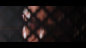 Владимир Пресняков — Небо