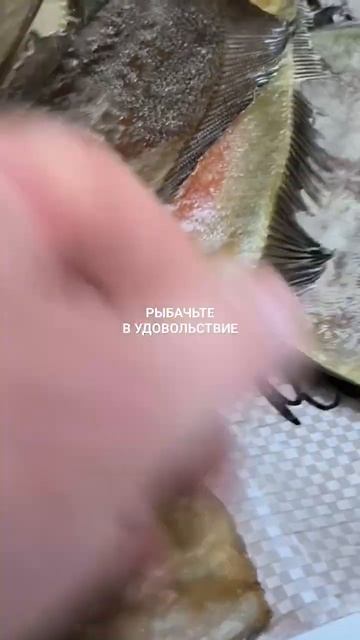 Вяленый ёрш готов отправиться на ваш стол.